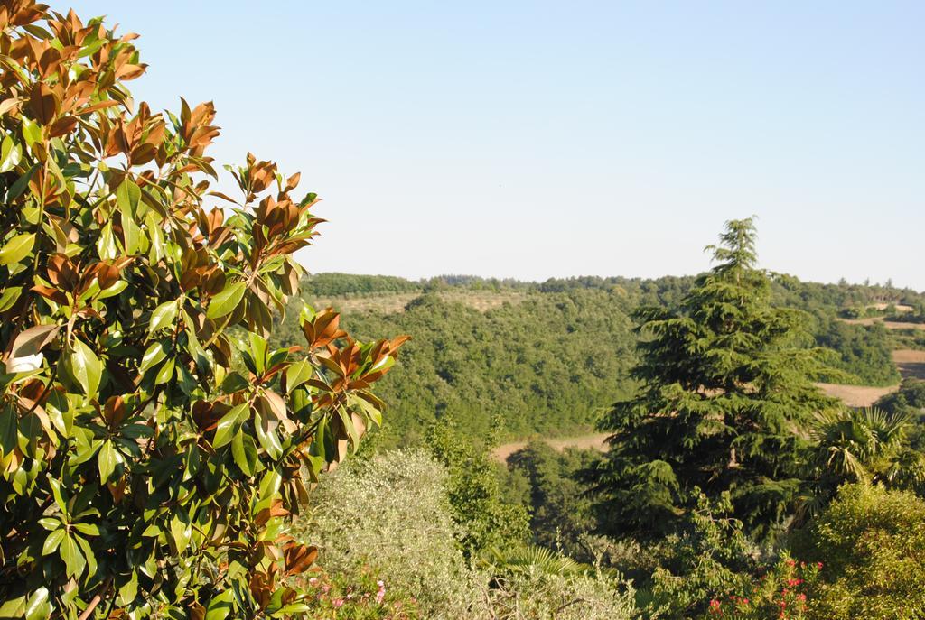 Il Gelsomino Del Perugino Villa Città della Pieve Exteriör bild